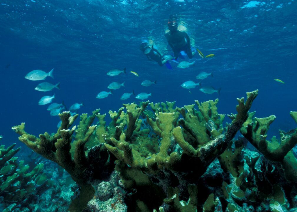 #36. Biscayne National Park